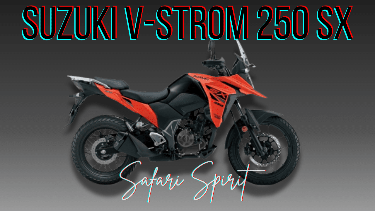 Suzuki-V-Strom-250-SX.png