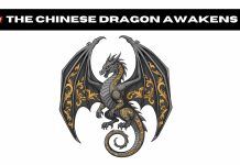 Benda Unleashes a 19-Vehicle new Avalanche on Europe Benda.jpg