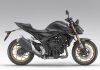 Honda Hornet 1000 New Fire Risk Recall honda-hornet-1000-sp.jpg